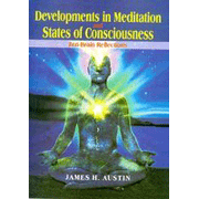Developments in Meditation and States of Consciousness : Zen-Brain Reflections
